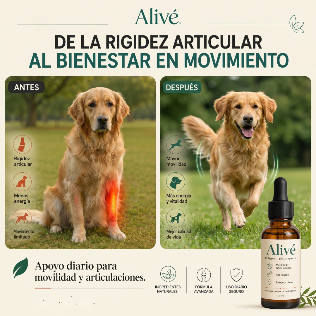 Colágeno triple para perros - Reduce Picazón, Rigidez Articular, Malestar Digestivo
