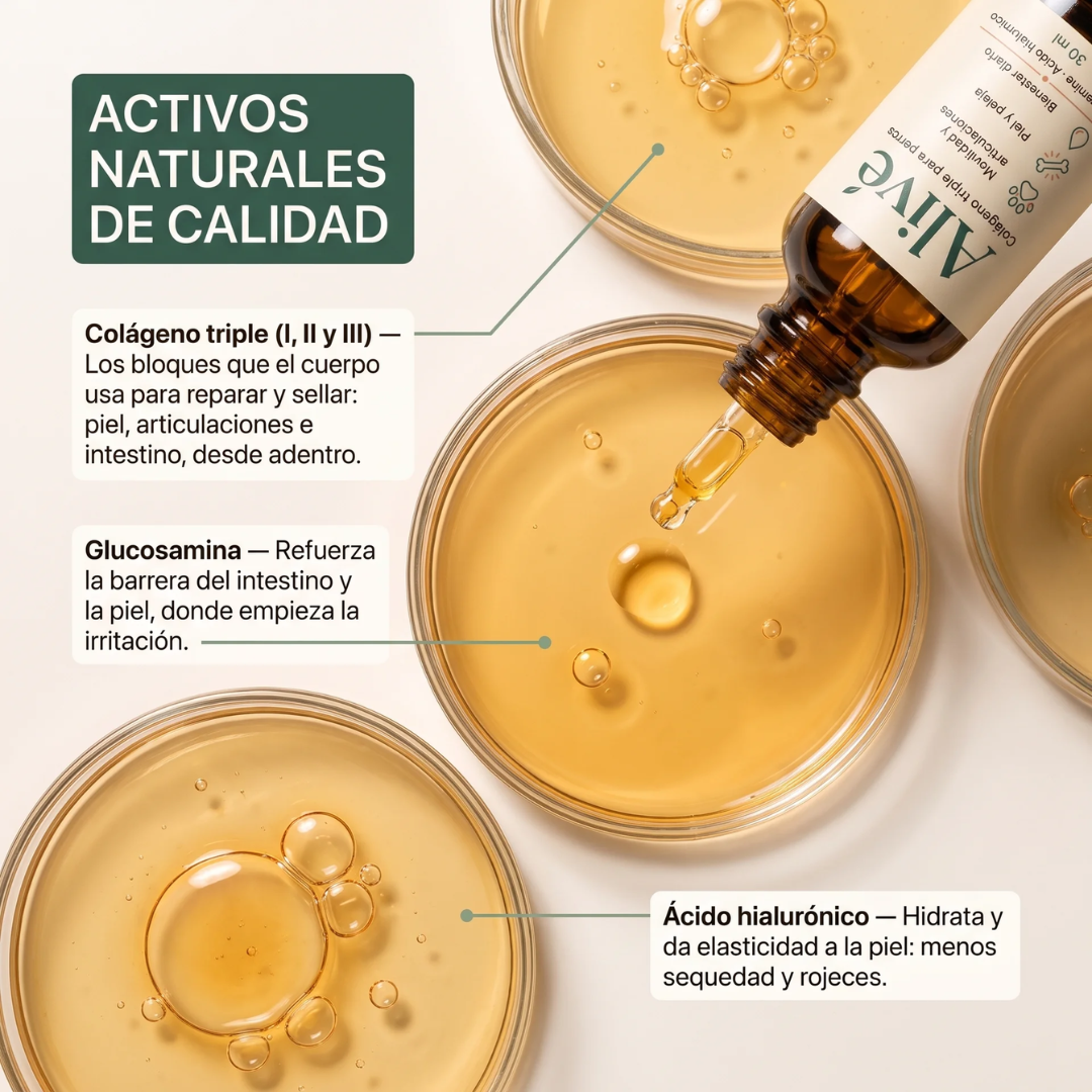 Colágeno triple para perros - Reduce Picazón, Rigidez Articular, Malestar Digestivo
